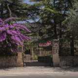 E poco pi� avanti Villa Del Vecchio, del 1910, nascosta da un cancello e dalla vegetazione circostante. Progettata dall�architetto molese Nicola Jacovelli, fonde elementi occidentali ed egiziani